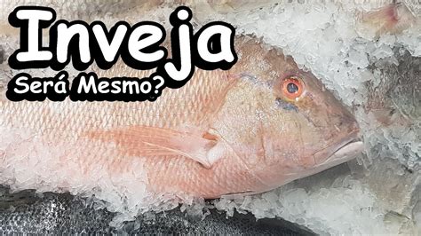 Sonhar Peixe Congelado Dentro Da Geladeira Ou Fora YouTube