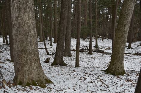 Ithaca Waterfalls: Explore Finger Lakes in Winter - Travel Realist