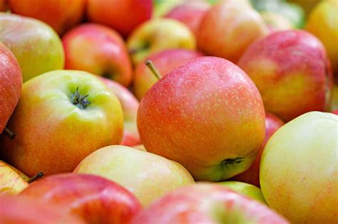 Jonagold Apple A Juicy Blend Of Flavor Texture And Uses