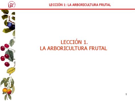 Leccion La Arboricultura Frutal Pdf