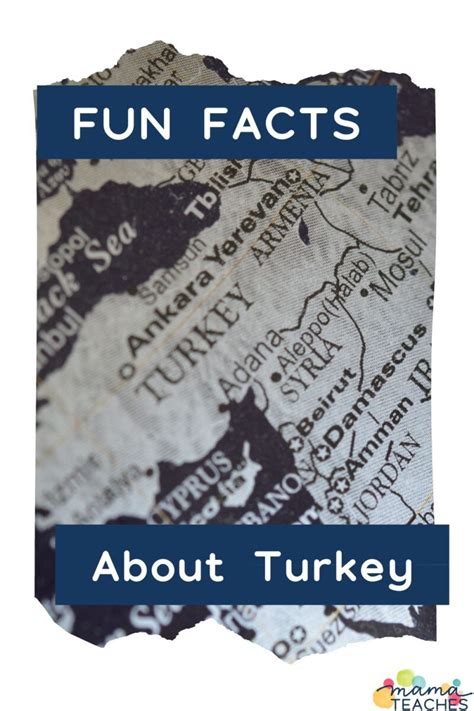 Fun Facts About Turkey - Mama Teaches