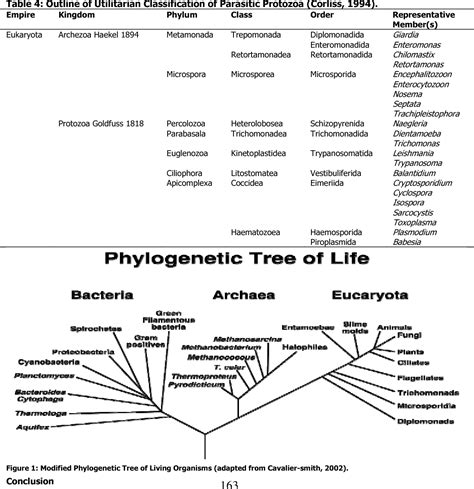 Table 4 from The complexities in the classification of protozoa: a ...