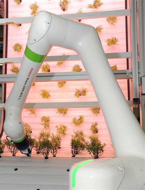 Vertical Farming Mit Fanuc Roboter Und Schunk Greifer ROBOTIK UND