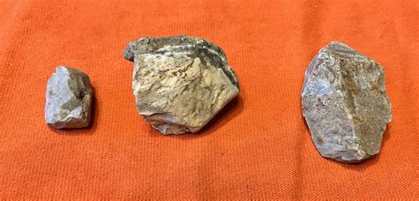 🔎 UNIDENTIFIED - New rock field after big rain | TreasureNet.com