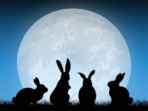 moon and rabbit 6402016 Vector Art at Vecteezy