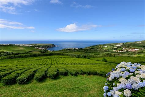 Azores - Travel guide for holidays in Azores - Hotels, Flights, Sights ...