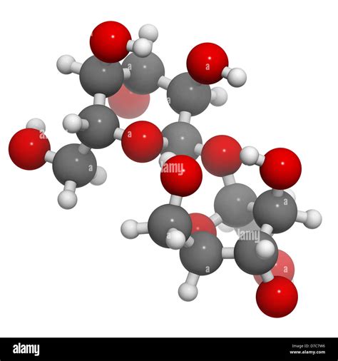 La Sacarosa Azúcar Sacarosa Molécula Estructura Química Los átomos