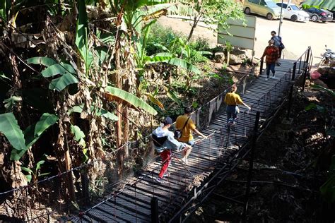 Pongyang Jungle Coaster Zipline Camp Resort Wongnai