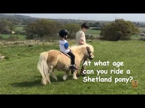 At what age can you ride a Shetland pony? TV Episode 229 - YouTube