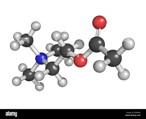 Acetylcholine Ach Neurotransmitter Molecular Model Hi Res Stock