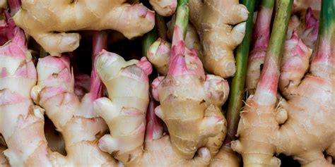 Ginger — A Health Hero For Inflammation Autoimmunity And More