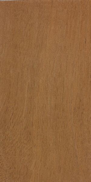 Andiroba The Wood Database Hardwood