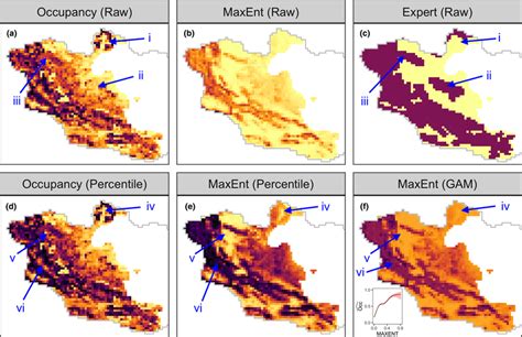 Snow Leopard Distribution Maps Obtained Over The Surveyed Region Using