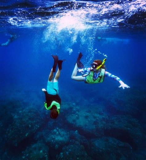 Kauai South Island Boat Snorkel Tour | Premier Kauai Snorkeling