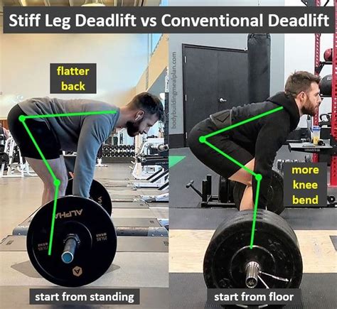 Stiff Leg Deadlift vs Deadlift in 2022 | Stiff leg deadlift, Deadlift ...