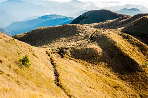 Scenic View of the Sea of Clouds at the Summit of Mount Pulag National ...