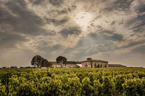 Bordeaux 2019 En Primeur Releases Margaux Joins Price Cuts Decanter