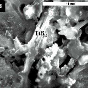 SEM Images Of The TiAl Fe Co Coated WC TiB2 YPSZ Laser Clad