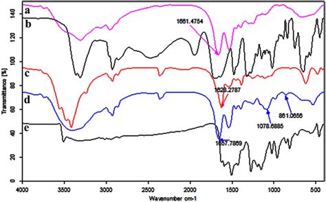 Ftir Spectra Of A Bsa B Biotin C Bsa Biotin D Bsa Biotin Cur And E