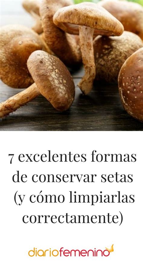 Pin En Trucos Para Conservar Alimentos