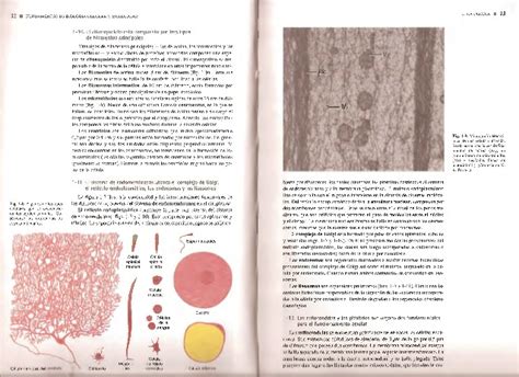 De Robertis Biologia Celular Y Molecular Ultima Edicion Pdf Gratis