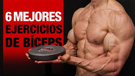 Ejercicios Para Trabajar Biceps Diario Baena