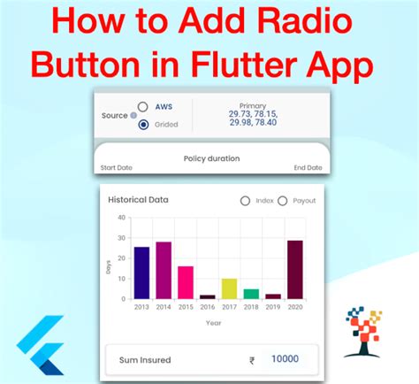 Flutter Radio Button Example Doripot