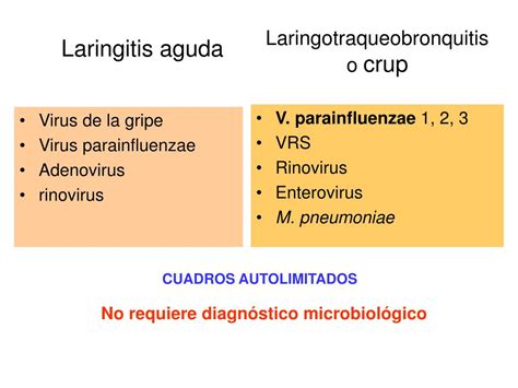 Ppt Tema Diagn Stico Microbiol Gico De Powerpoint Presentation