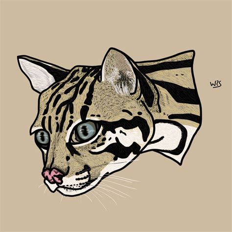 El ocelote Leopardus pardalis ilustración animal