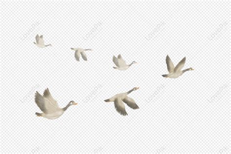 Flying Geese PNG Picture And Clipart Image For Free Download - Lovepik ...