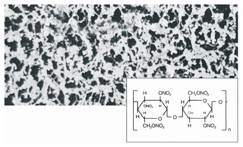 Sartorius Filtres à membrane en nitrate de cellulose Filtres et