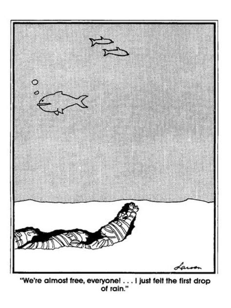 Far Side Cartoons Far Side Comics Funny Cartoons Cartoons Comics