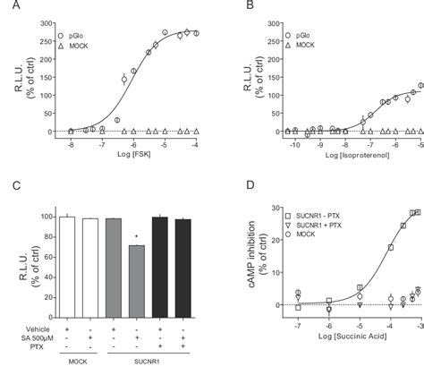 Pdf Forskolin Free Camp Assay For Gi Coupled Receptors Semantic