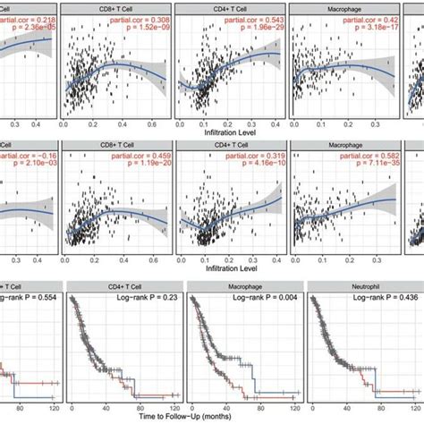 The Correlation Of Infiltration Levels Of Six Types Of Immune Cell