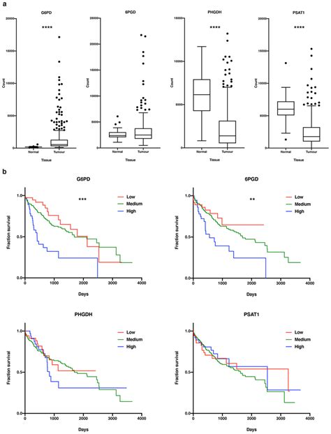 Evaluation Of The Ppp And Sgs In Human Hcc A Gene Expression Of