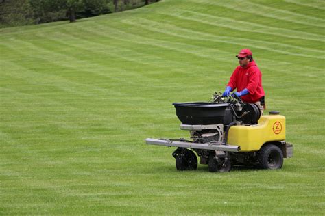 Landscape Maintenance Timberland Landscape