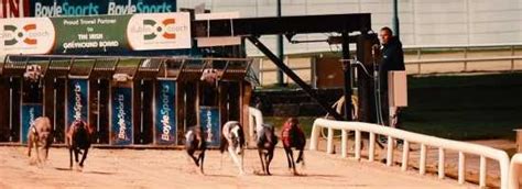 Prices & Deals - Galway Greyhound Stadium