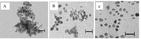 Transmission Electron Microscopic Images Of Magnetite Nanoparticles