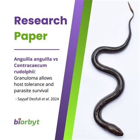 Biorbyt on LinkedIn: #lifesciences #marine #laboratory 