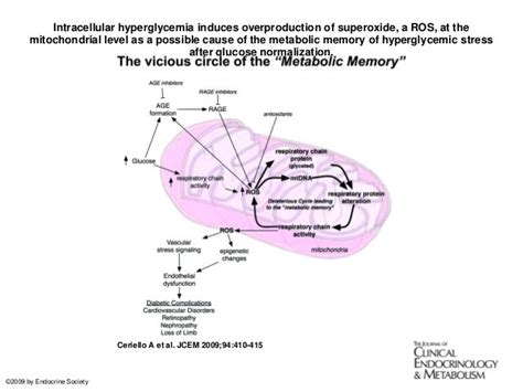 Ueda2012 Metabolic Memory Dmgahed