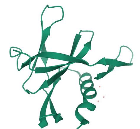 6W9Q Peptide Bound SARS CoV 2 Nsp9 RNA Replicase