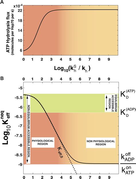 Hsp70 Chaperones Are Non Equilibrium Machines That Achieve Ultra Affinity By Energy Consumption