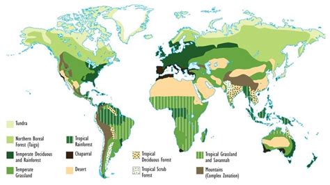 Chapter 8 Biomes And Ecozones Environmental Science