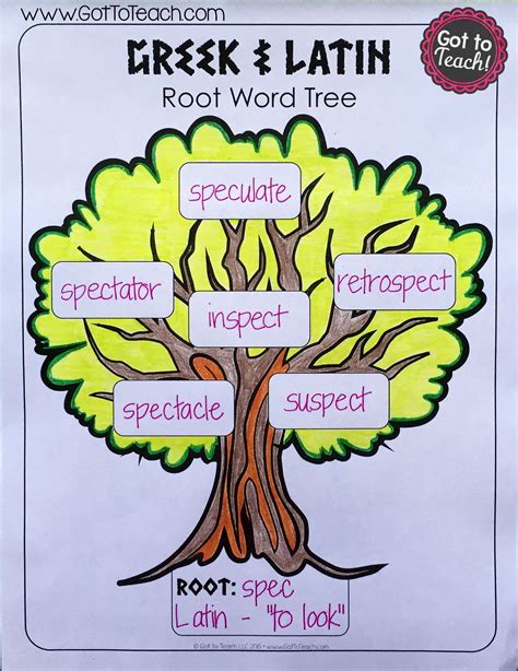 Latin Greek Root Words Worksheet Printable Calendars At A Glance