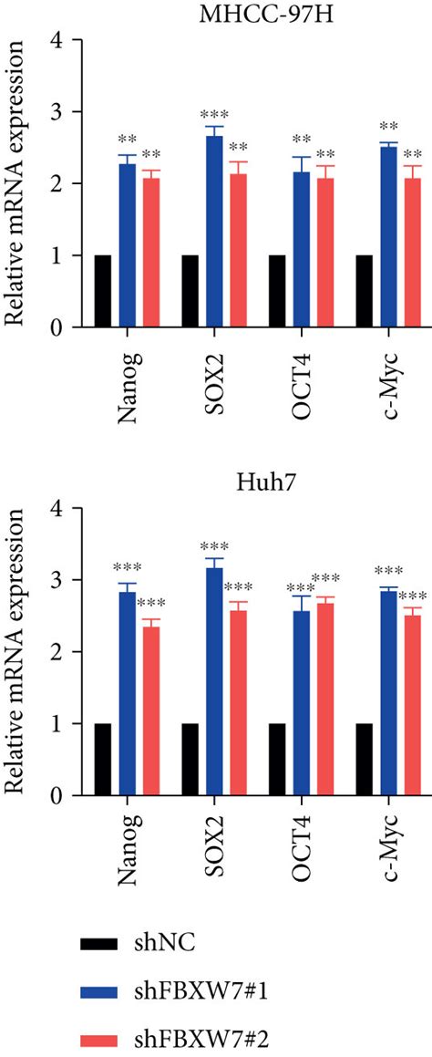 Fbxw7 Downregulation Promotes The Stem Cell Like Properties Of Hcc Download Scientific Diagram