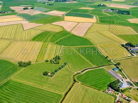 Aerial View Foudgum Aerial View Terp Village And The Irregular