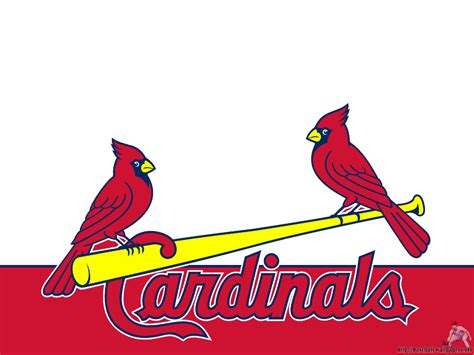 Download High Quality st louis cardinals logo vector Transparent PNG ...