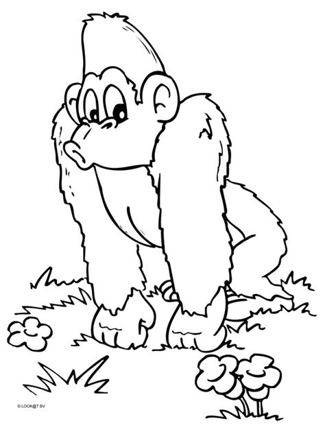 Coloriage Chimpanz Animaux Dessin Colorier Coloriages