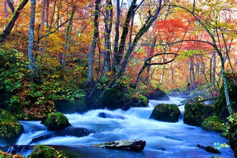 [日本東北。賞楓必去景點] 奧入瀨溪流 賞楓景點攻略：紅黃橘綠交錯的紅葉、東北賞楓一級戰區 日本自助旅行大補帖 凱子凱 痞客邦