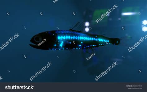 431 Bioluminescence Stock Illustrations, Images & Vectors | Shutterstock